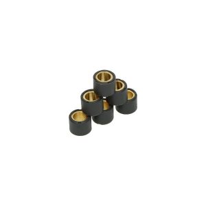 Variorolset 10.0gr kymco/peug/china4t/sco gy6/sco pia ot 16x13mm DMP